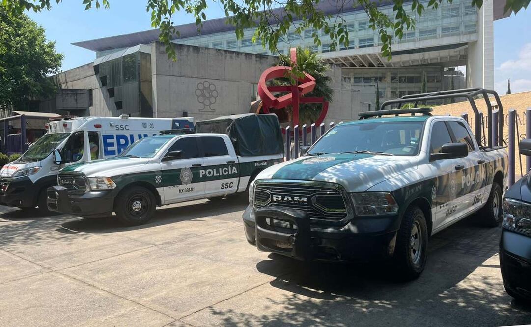 Foto: Yalina Ruíz. EL UNIVERSAL