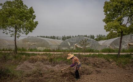 Sobrevivir al coronavirus con lo puesto: la historia de los aldeanos de Wuhan