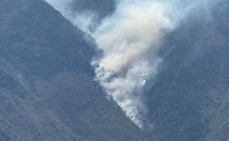 Fuerte incendio afecta el bosque de Zautla, Puebla; elementos municipales, estatales y federales combaten el fuego