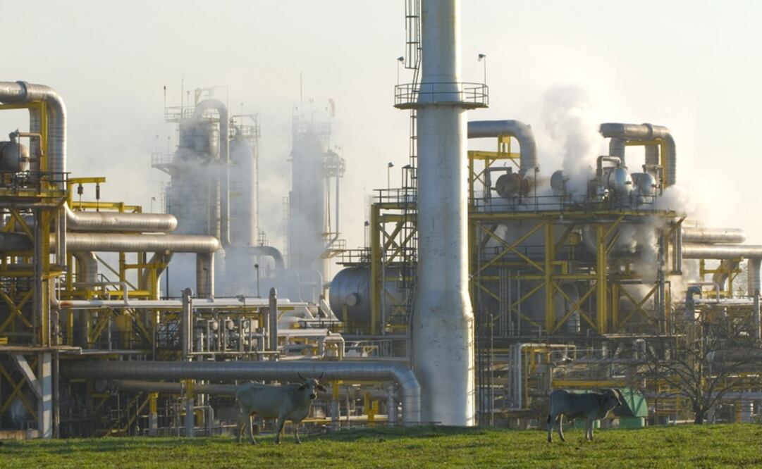 La próxima reunión de la Organización de Países Exportadores de Petróleo (OPEP), más sus aliados en el acuerdo OPEP+, será el 2 de junio a través de una videoconferencia en donde verán los precios del petróleo. Foto: Archivo/El Universal