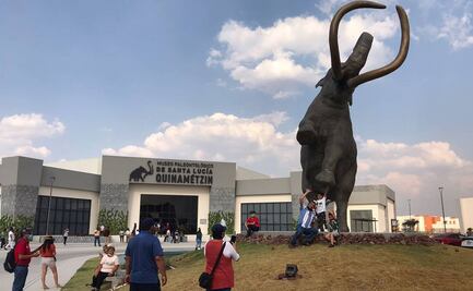 ¿Es real? Sorprende a chicos y a grandes Museo del Mamut tras inauguración del AIFA