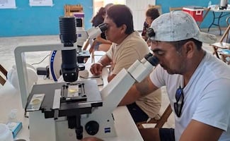Yucatán crea una red de monitoreo contra la marea roja; buscan proteger la actividad pesquera