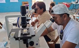 Yucatán crea una red de monitoreo contra la marea roja; buscan proteger la actividad pesquera