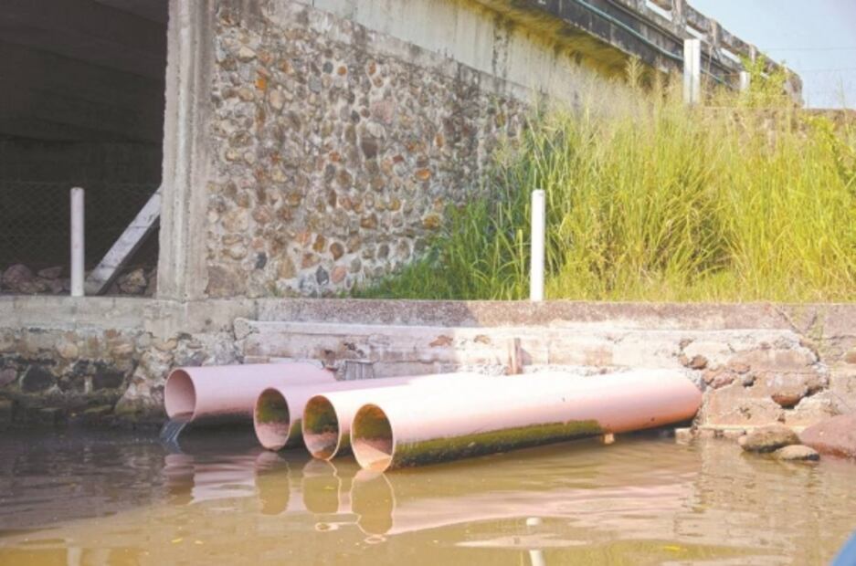 Urbanismo amenaza a manglar de Boca del Río