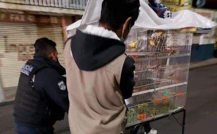 Rescatan a 45 animales de edificio colapsado por explosión de tanque de gas en Puebla