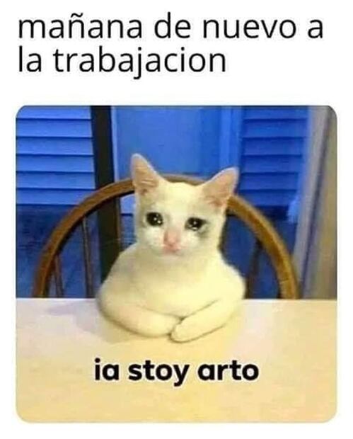 Extienden la cuarentena y los memes toman las redes sociales