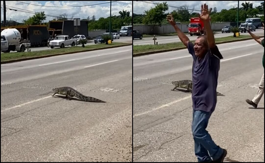 Fotos: captura de pantalla