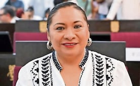 Diputada de Campeche es acusada de maltrato animal