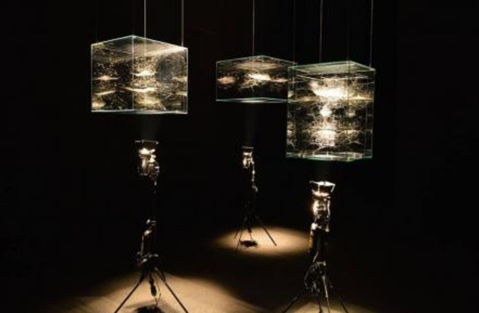 Las arañas de Tomás Saraceno visitan el MARCO