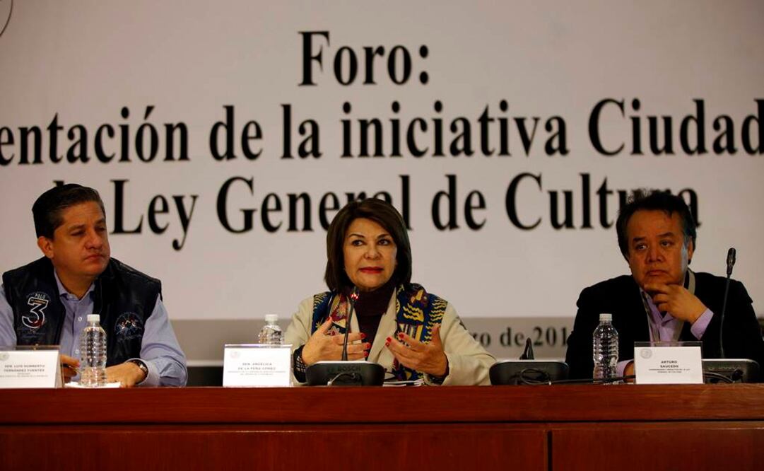 La senadora Angelica de la Peña, presidenta de la Comisión de Cultura en el Senado de la República, presentó la iniciativa ciudadana de Ley General de Cultura. FOTO: Juan Carlos Reyes/EL UNIVERSAL.