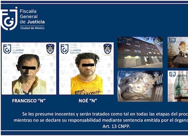 Rescatan a 5 perritos, 3 gatos y un ave en mal estado en domicilio de la colonia Morelos; hay 2 detenidos