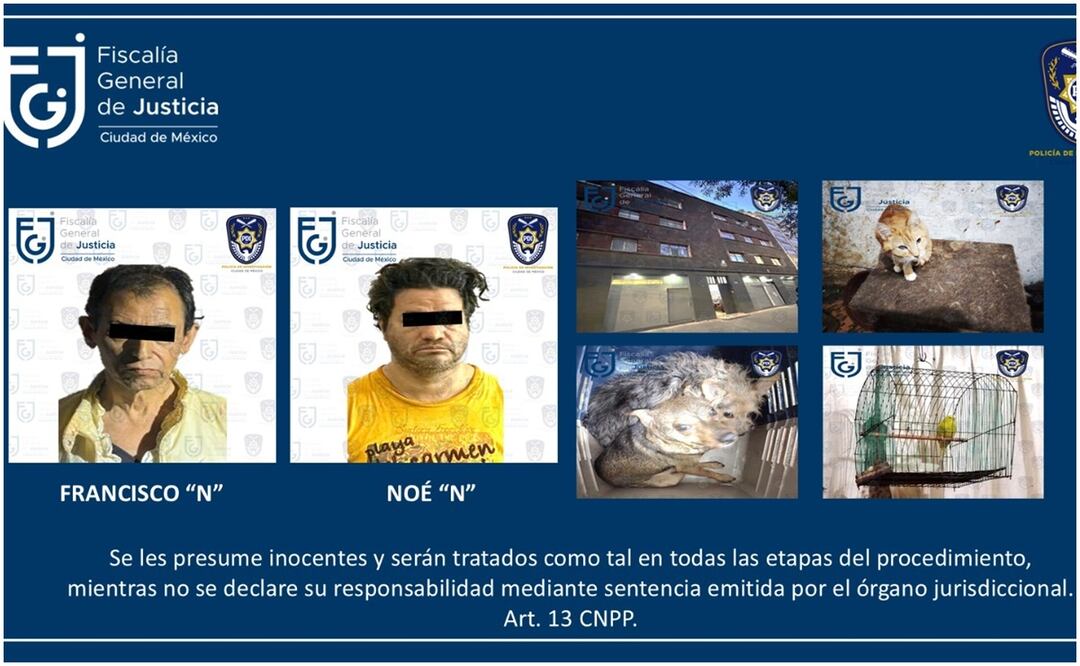 Detienen a dos personas y rescatan a 8 animales en la alcaldía Cuauhtémoc. Foto: Especial