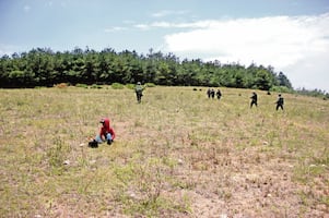 Durante 2025, 460 niños y adolescentes  desaparecieron en Chiapas: ONG; 75 no han sido localizados