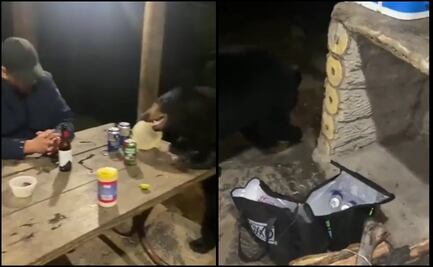 Video. “¿No quieres una cheve?”: Oso se acerca a padre e hijo en cabaña de Nuevo León 