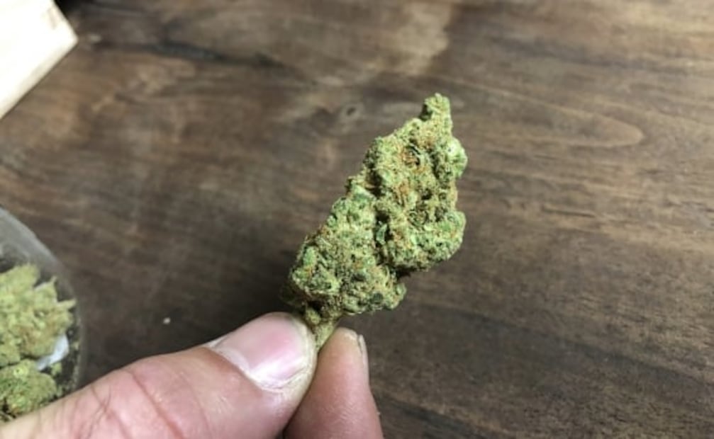 La marihuana reduce riesgo de contagiarte de Covid-19, según estudio