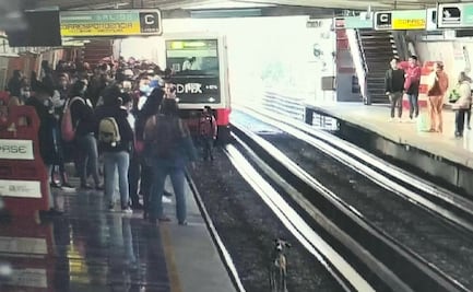 Usuario del Metro baja a las vías y rescata a lomito; provoca caos y retrasos en traslados  