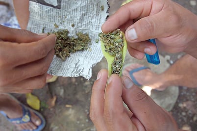 SNSP deberá informar sobre arrestos por posesión de marihuana