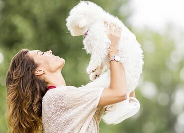 Universo Geek: Cibercuidadores de mascota