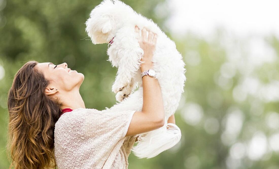 Un paseo tiene un coste de 65 pesos, y si lo prefieres puedes contratar el servicio por una semana por 250 pesos