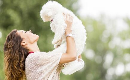 Universo Geek: Cibercuidadores de mascota