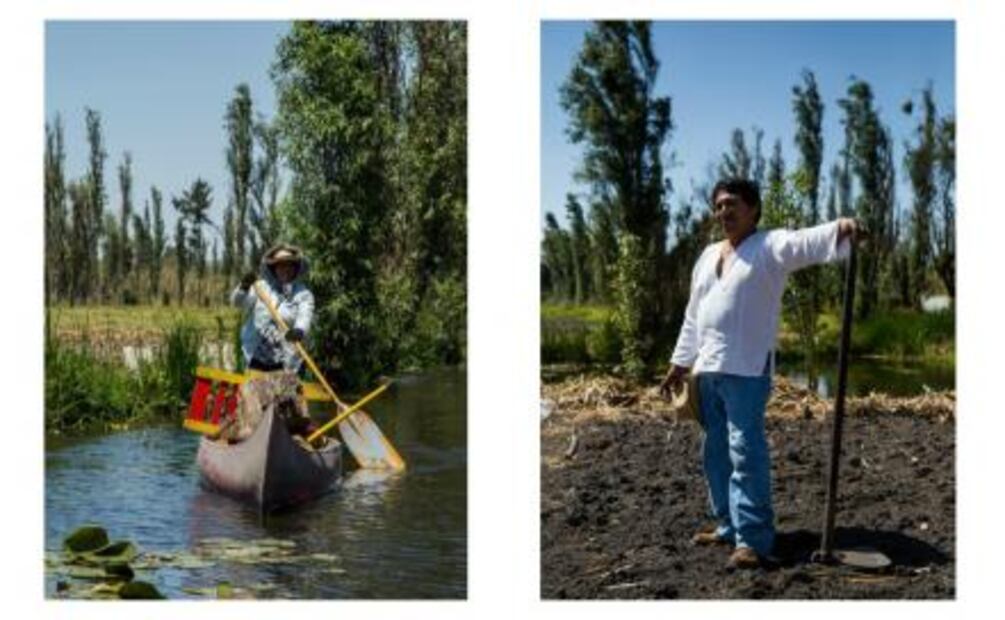 De las chinampas en Xochimilco a tu cocina