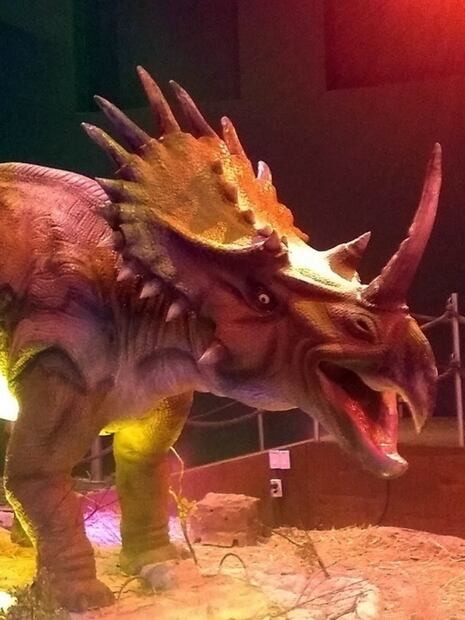 Lo que verás en Dinoexpertos en el Papalote Museo del Niño