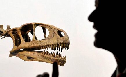 ¿Qué tan lejos estamos de revivir a los dinosaurios?