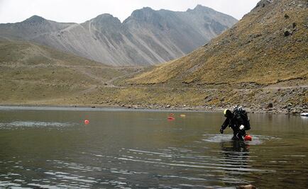 México entra en el Registro de Buenas Prácticas subacuáticas de la Unesco