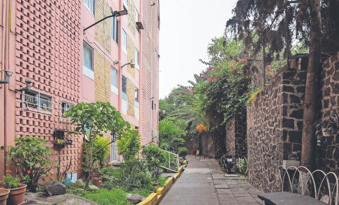 La alcaldía Benito Juárez dio respuesta a peticiones vecinales y podó árboles en la unidad habitacional SCOP. Foto Epecial