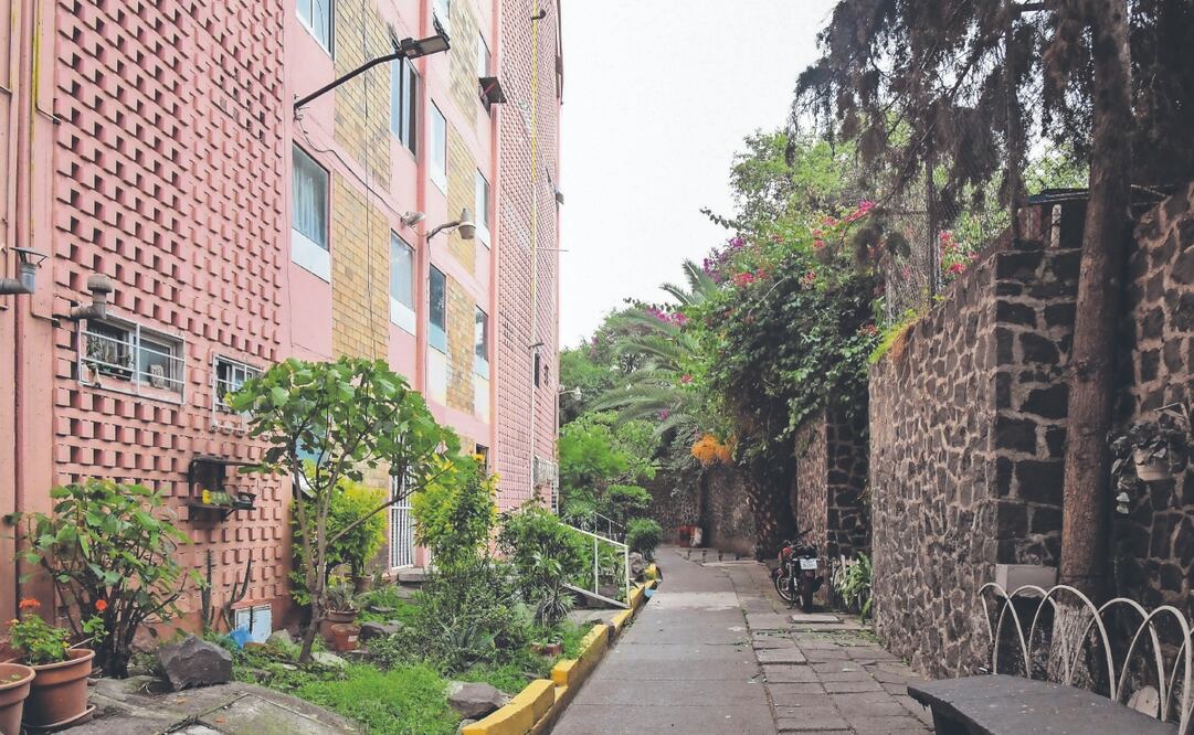 La alcaldía Benito Juárez dio respuesta a peticiones vecinales y podó árboles en la unidad habitacional SCOP. Foto Epecial