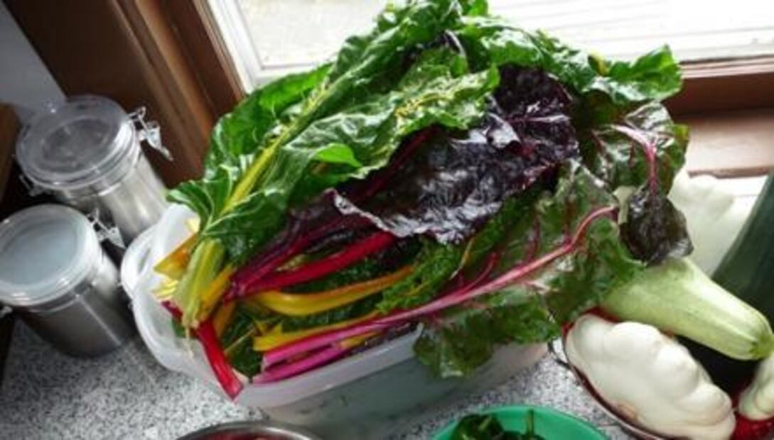 Los 15 alimentos más saludables