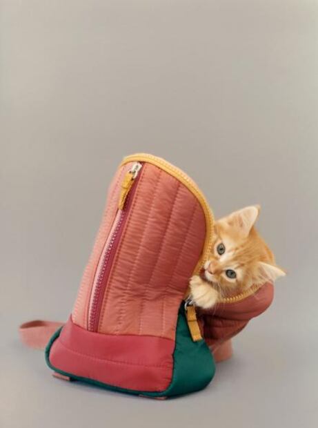 Perros y gatos son protagonistas en la nueva colección de Zara