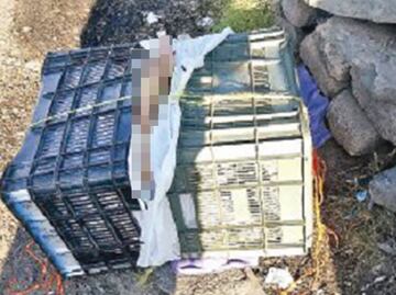 Abandonan restos cerca de centro comercial en Ecatepec