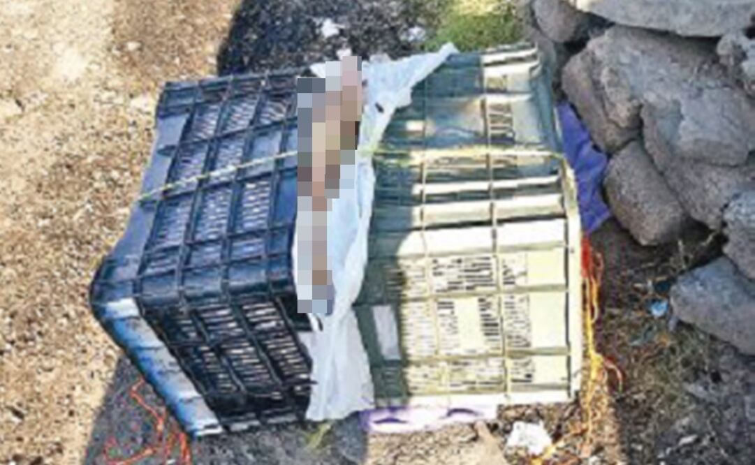 Policías buscaron en la zona  la presencia de más restos humanos, pero no los hallaron. Foto: Archivo