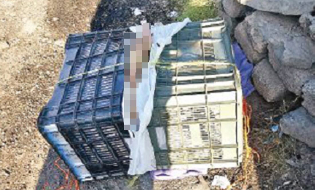 Policías buscaron en la zona la presencia de más restos humanos, pero no los hallaron. Foto: Archivo