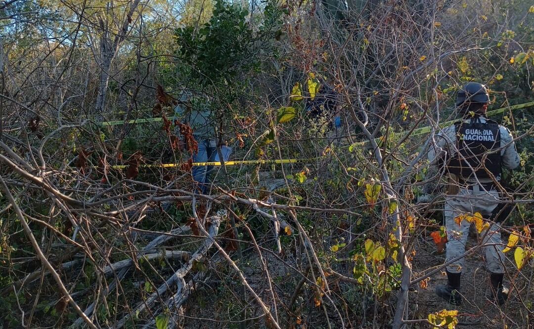 Encuentran fosa clandestina en BCS. Foto: Especial