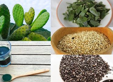 Superfoods mexicanos que tienes que conocer