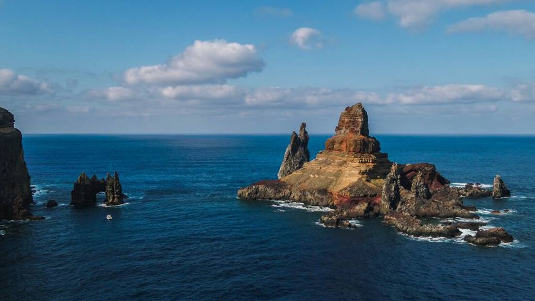 Foto: Facebook "Parque Nacional Revillagigedo"