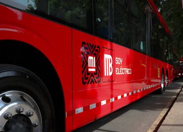 Usuaria de Metrobús denuncia trato hostil de policía para acceder con perro de apoyo emocional; acusa falta de empatía