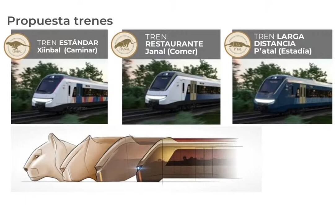 Propuesta de las tres tipologías de tren propuestas por los fabricantes. Foto: Presidencia.