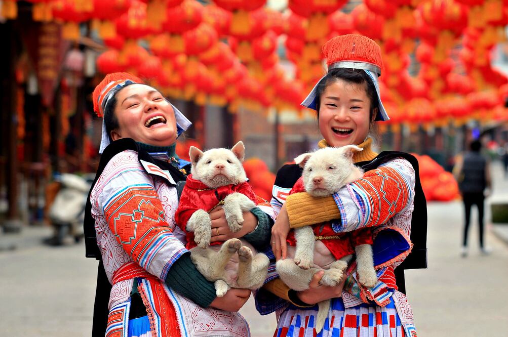 Es el año del perro de tierra. (Foto: Xinhua/Wu Jibin)