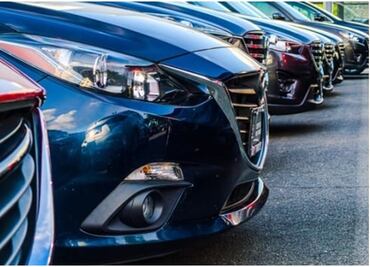 Roban placas a cónsul americano mientras comía; fiscalía atiende el caso en calidad de urgente