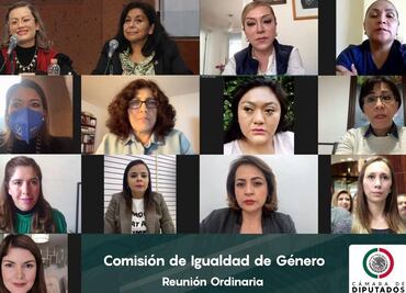 Comisión de Igualdad pedirá informe a Conacyt por probable discriminación a becarias embarazadas