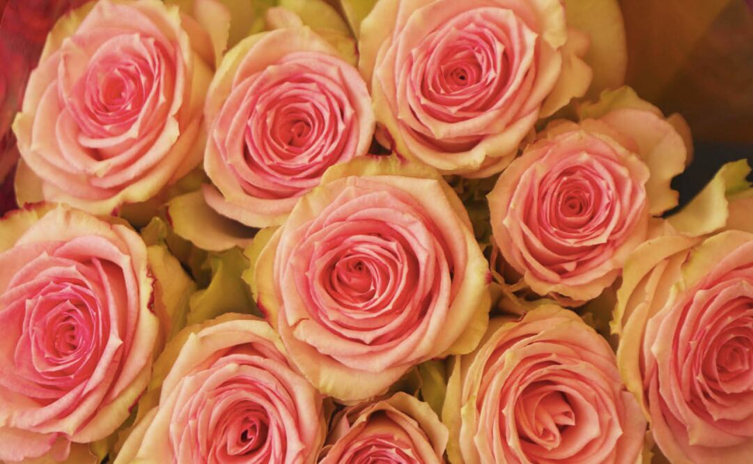 The following shops are offering beautiful bouquets and flower arrangements for Mother’s Day - Photo: File Photo/EL UNIVERSAL