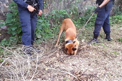 Ligan restos de fosa con funcionarios