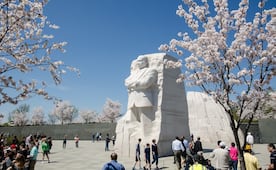 ¿Qué hacer 5 días en Washington DC? Haz este itinerario con atracciones gratuitas