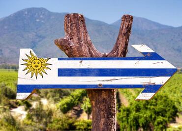 Uruguay: en la ruta del Tannat