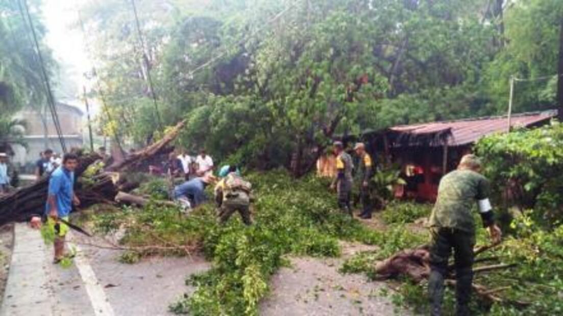 Tormenta tropical Carlotta deja daños en 14 municipios de Guerrero