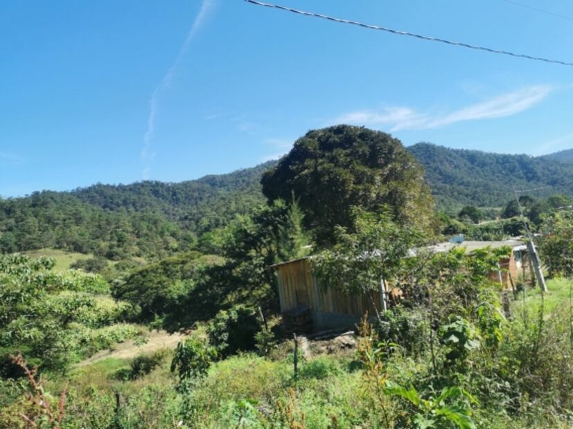 Retienen a tres campesinos zoques en ejido de Oaxaca invadido por Chiapas