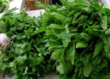 ¿Qué pasa si como epazote todos los días?